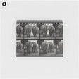 3-31_Eadweard-Muybridge_memo