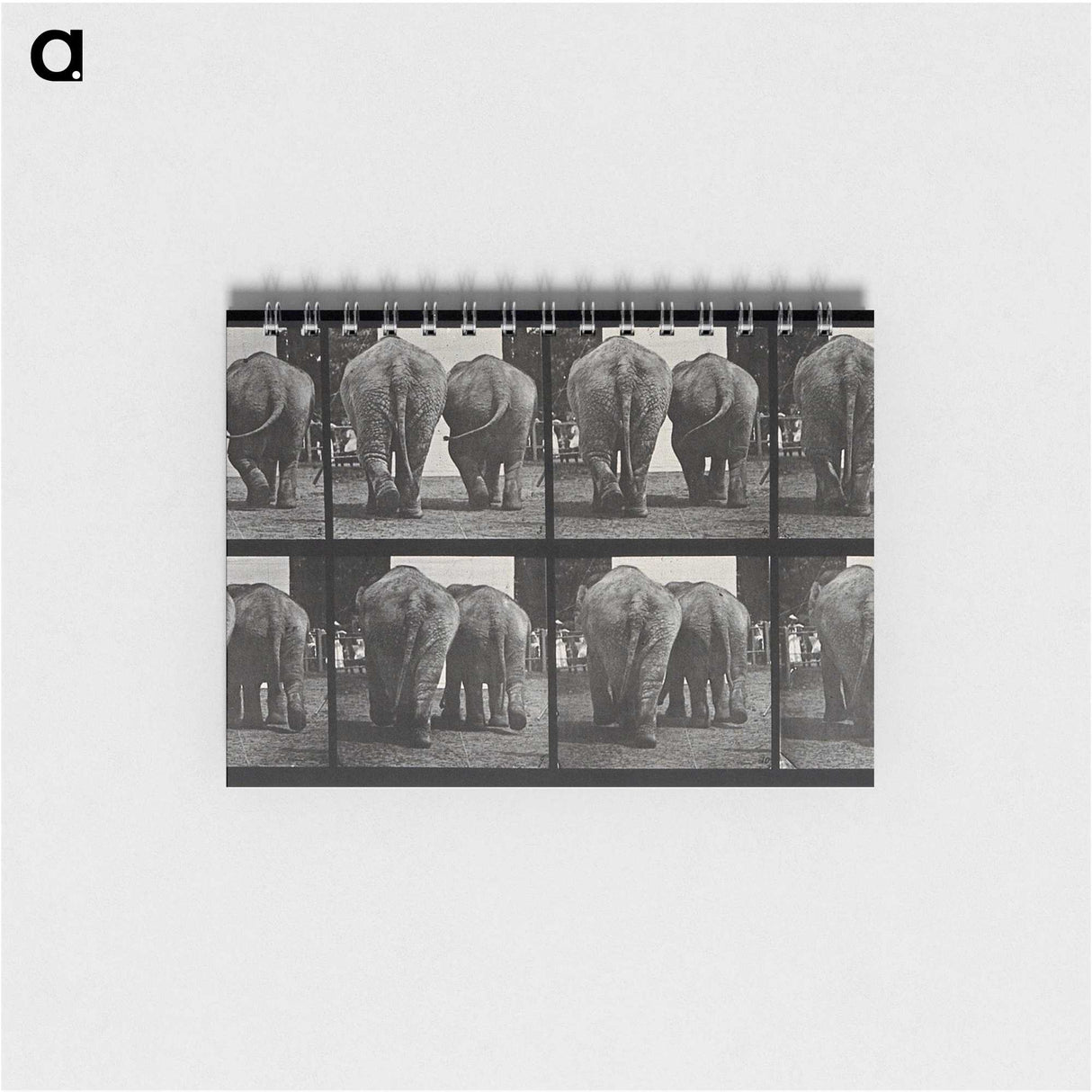 3-31_Eadweard-Muybridge_memo