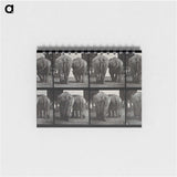 3-31_Eadweard-Muybridge_memo