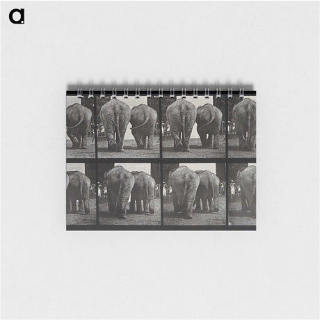 3-31_Eadweard-Muybridge_memo