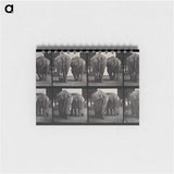 アートメモ帳-Walking Elephants
 - エドワード マイブリッジ Memo.