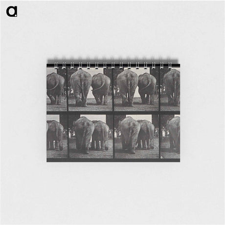 アートメモ帳-Walking Elephants
 - エドワード マイブリッジ Memo.