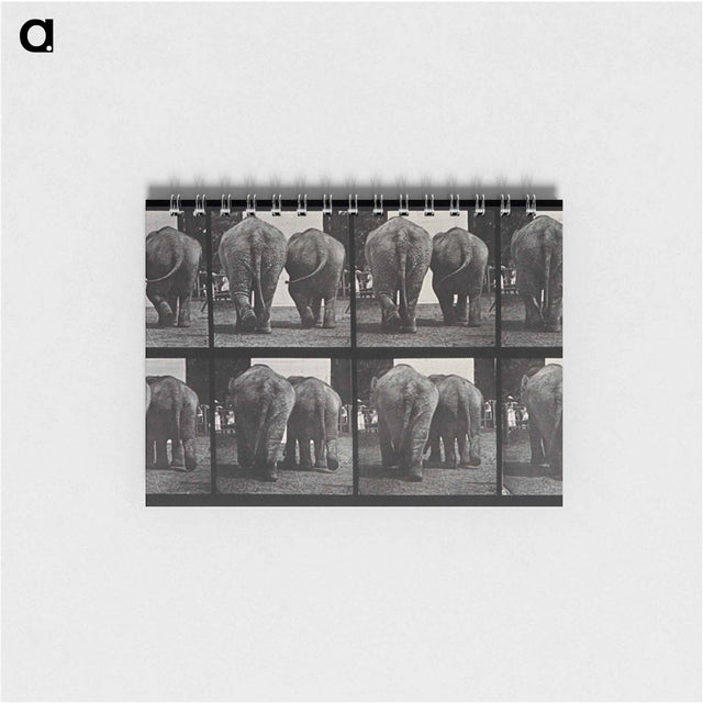 アートメモ帳-Walking Elephants
 - エドワード マイブリッジ Memo.
