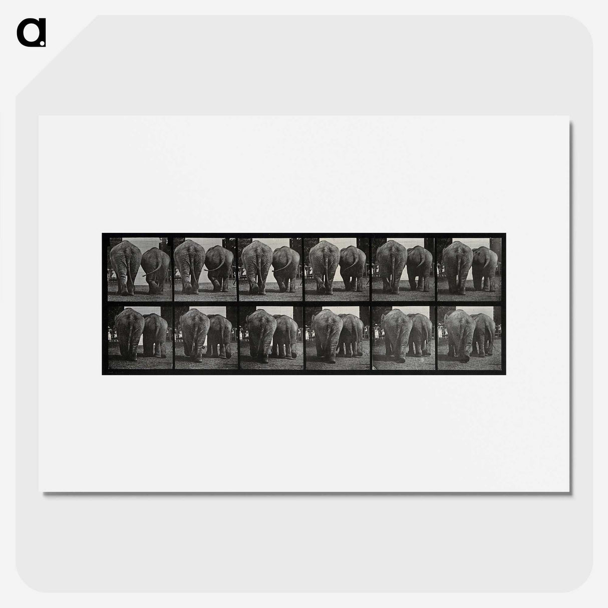 3-31_Eadweard-Muybridge_picture