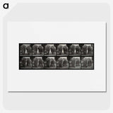 3-31_Eadweard-Muybridge_picture