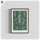 3-31_Ernst-Haeckel_blk-crop
