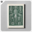 3-31_Ernst-Haeckel_canvas