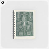 3-31_Ernst-Haeckel_memo