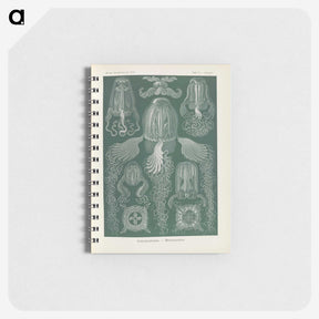 3-31_Ernst-Haeckel_memo
