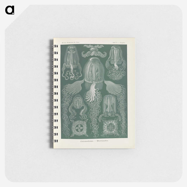 3-31_Ernst-Haeckel_memo