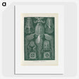3-31_Ernst-Haeckel_picture