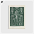 3-31_Ernst-Haeckel_postcard