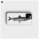 3-31_Ichtyologie-ou-Histoire-naturelle_phone