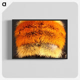 3-31_Insects-Unlocked-Project_blk-crop