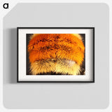3-31_Insects-Unlocked-Project_blk