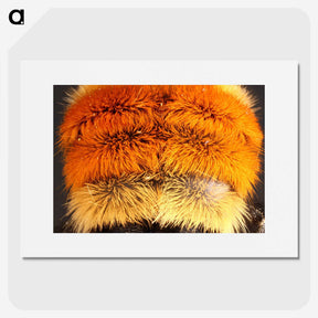 3-31_Insects-Unlocked-Project_picture