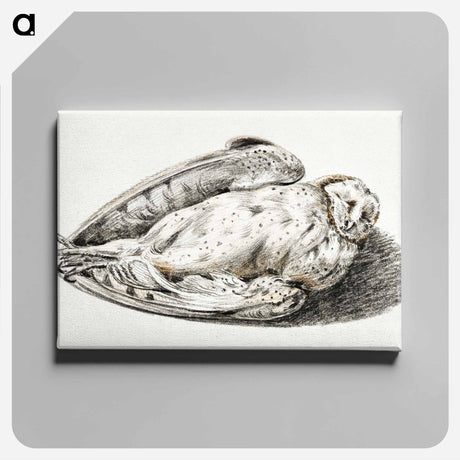 アートパネル-Dead owl - ジャン ベルナール Canvas.