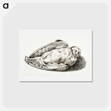 アートポストカード-Dead owl - ジャン ベルナール Postcard.