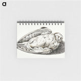 3-31_Jean-Bernard_memo