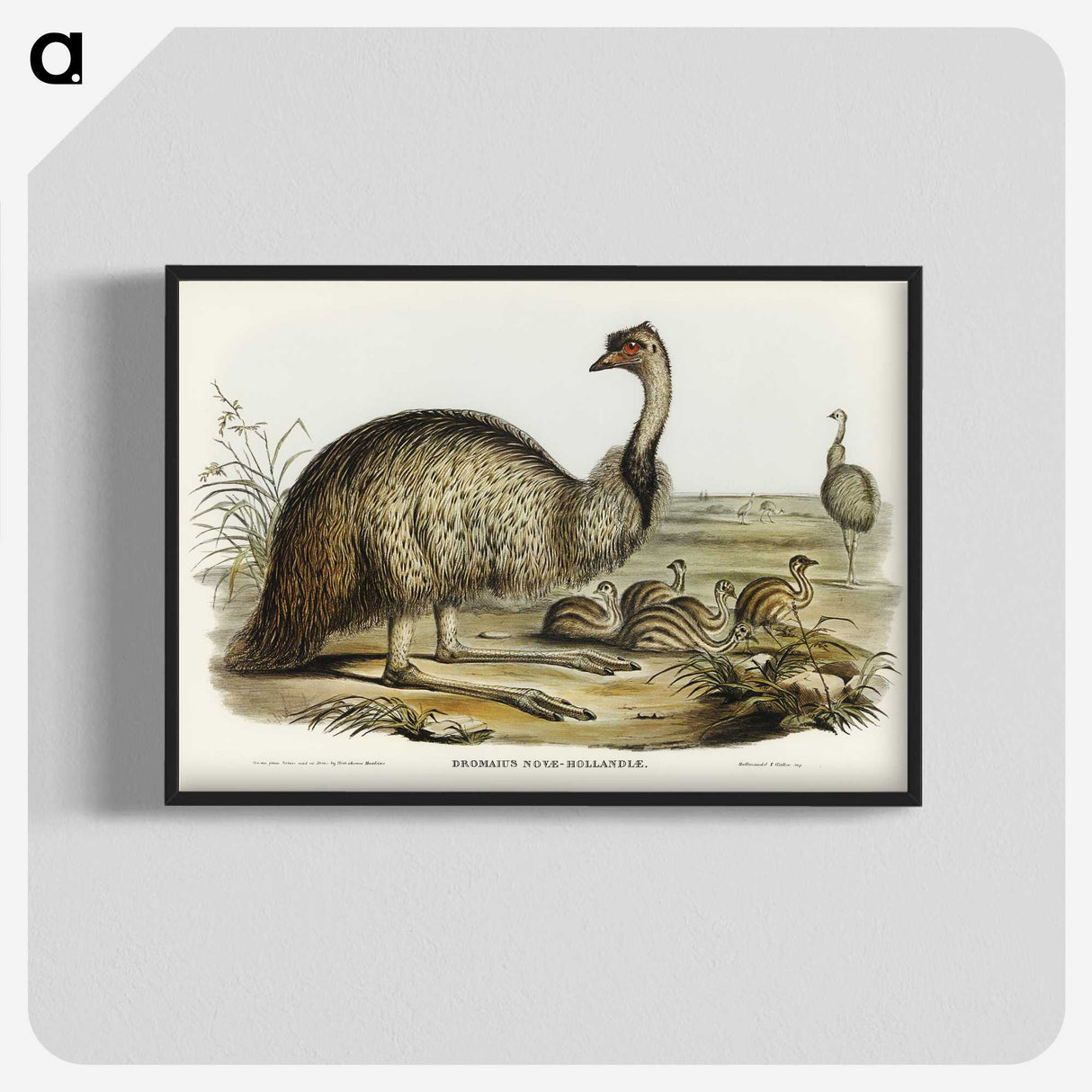 3-31_John-Gould_blk-crop