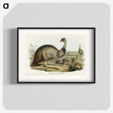 3-31_John-Gould_blk