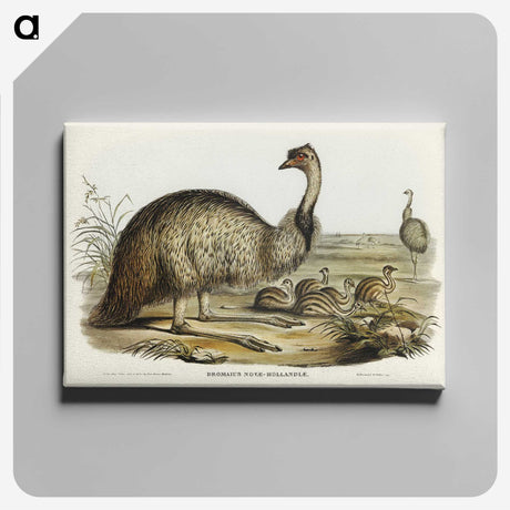 3-31_John-Gould_canvas