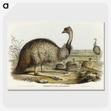 3-31_John-Gould_picture-crop