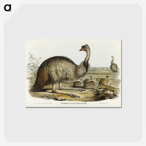 3-31_John-Gould_postcard