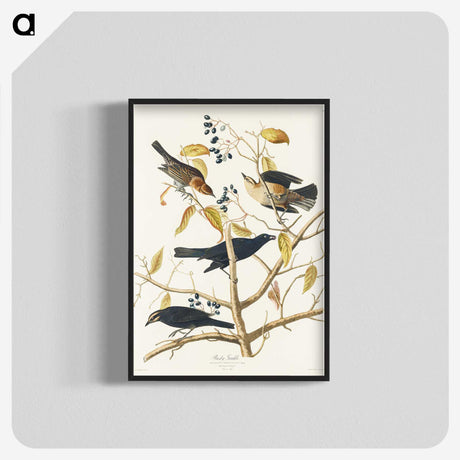3-31_John-James-Audubon_blk-crop