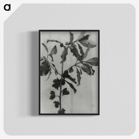 3-31_Leslie-Adkin_blk-crop