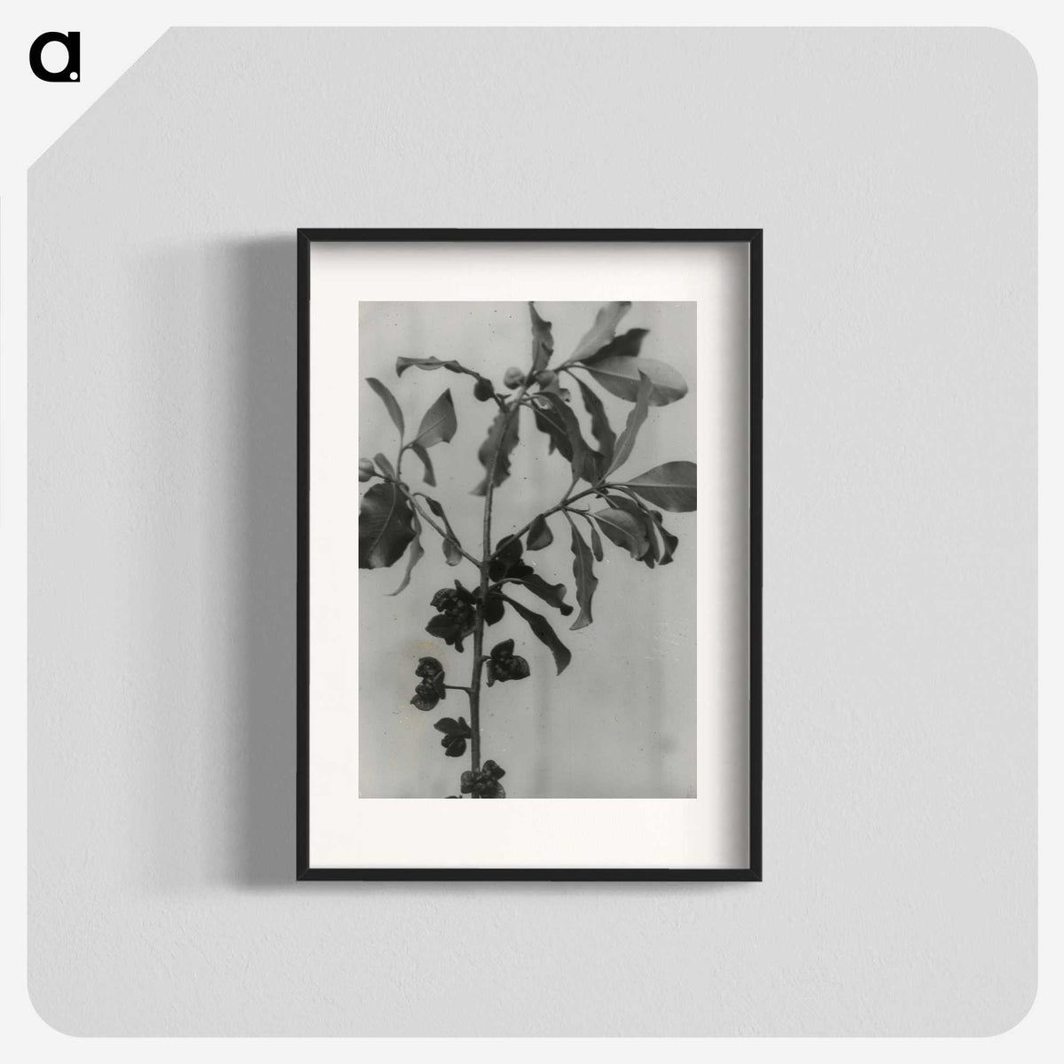 3-31_Leslie-Adkin_blk