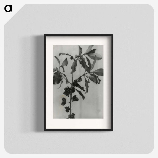 3-31_Leslie-Adkin_blk