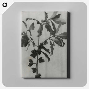 3-31_Leslie-Adkin_canvas