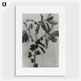 3-31_Leslie-Adkin_picture