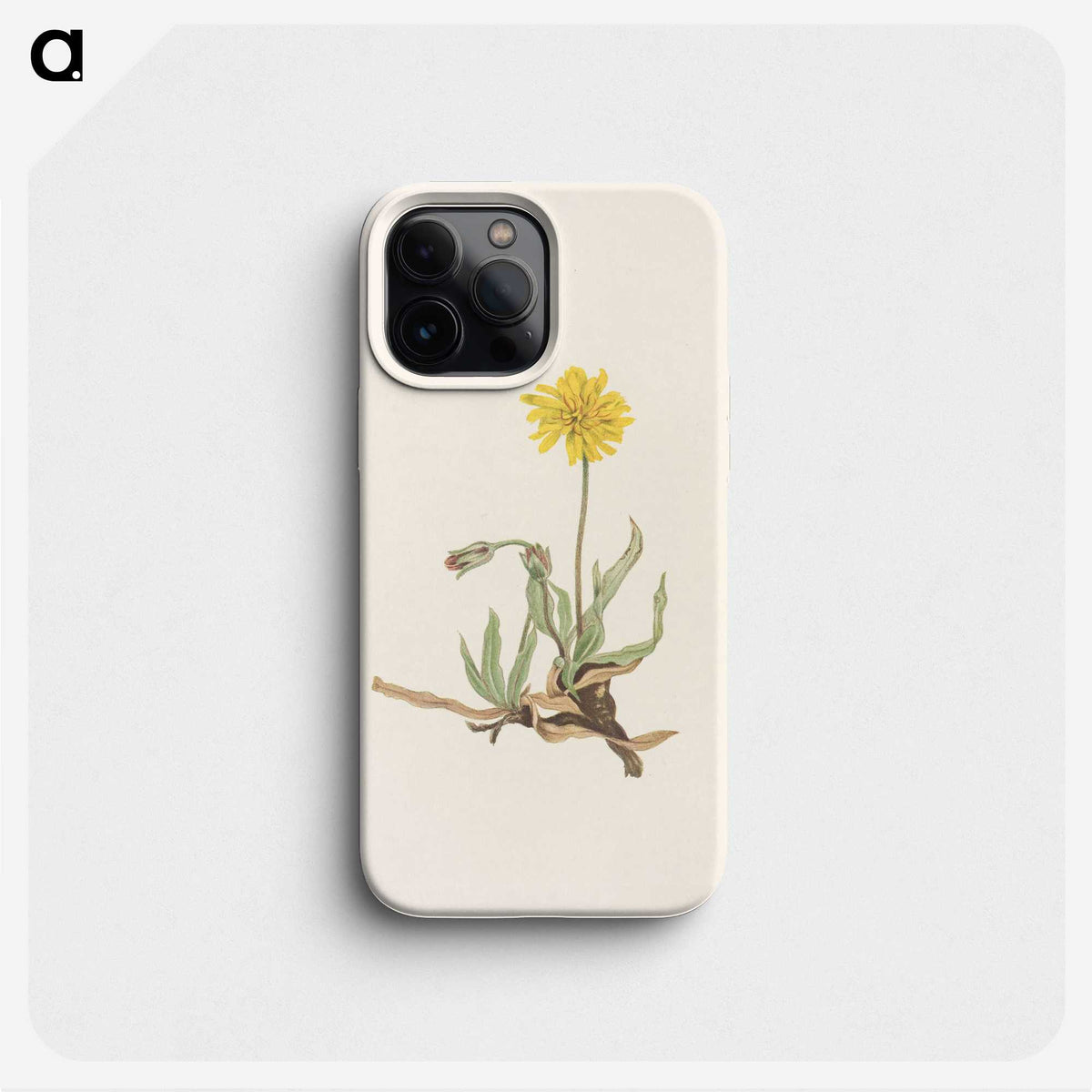 3-31_Mary-Vaux-Walcott_phone
