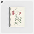 3-31_Pierre-Joseph-Redoute_memo