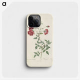 3-31_Pierre-Joseph-Redoute_phone