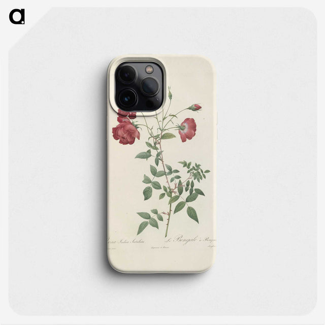 3-31_Pierre-Joseph-Redoute_phone