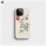 Rose illustration - ピエール ジョゼフ ルドゥーテ Phone Case.