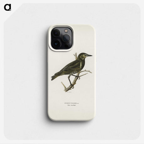 3-31_Svenska-Faglar_phone