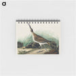 アートメモ帳-Hudsonian Curlew from Birds of America
 - アメリカの鳥たち Memo.