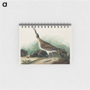 アートメモ帳-Hudsonian Curlew from Birds of America
 - アメリカの鳥たち Memo.