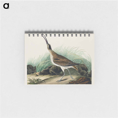 アートメモ帳-Hudsonian Curlew from Birds of America
 - アメリカの鳥たち Memo.