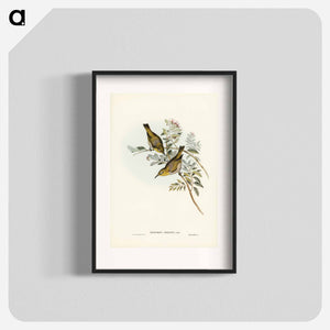 オーストラリア