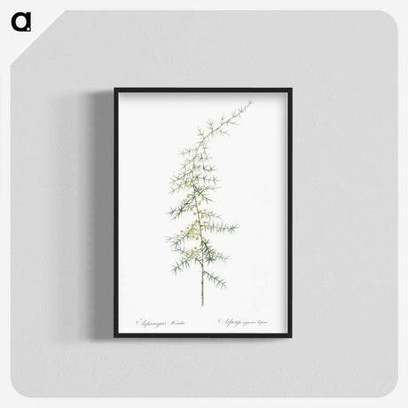 3-31_The-Lilies_blk-crop