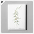 3-31_The-Lilies_canvas