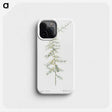 3-31_The-Lilies_phone
