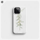3-31_The-Lilies_phone