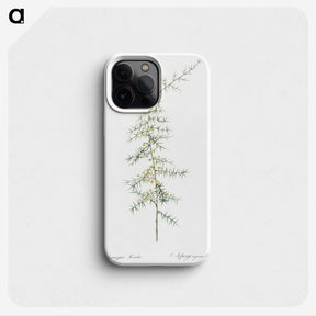 3-31_The-Lilies_phone