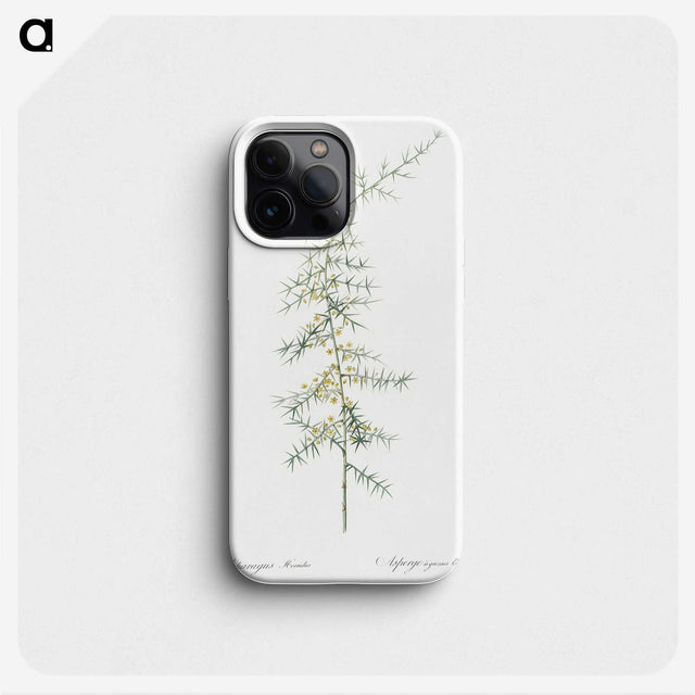 3-31_The-Lilies_phone